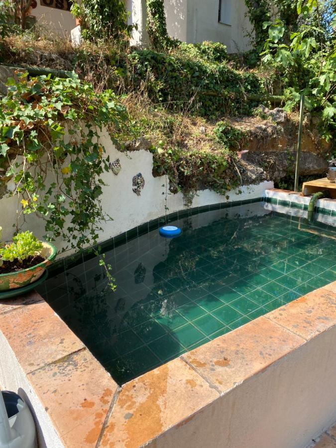 La Mahasiah Villa Puget-sur Argens Buitenkant foto
